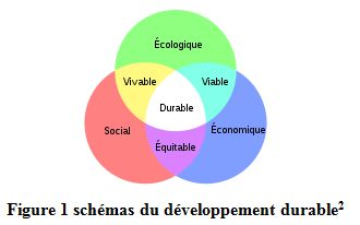 IV/Le développement durable shema-developpement-durable